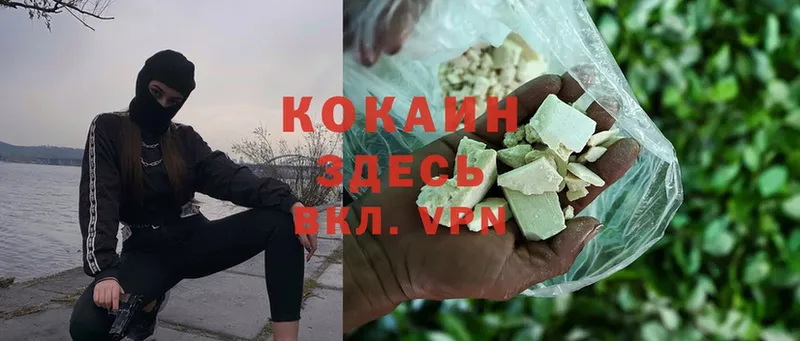 где купить наркоту  Жуковка  Cocaine 99% 